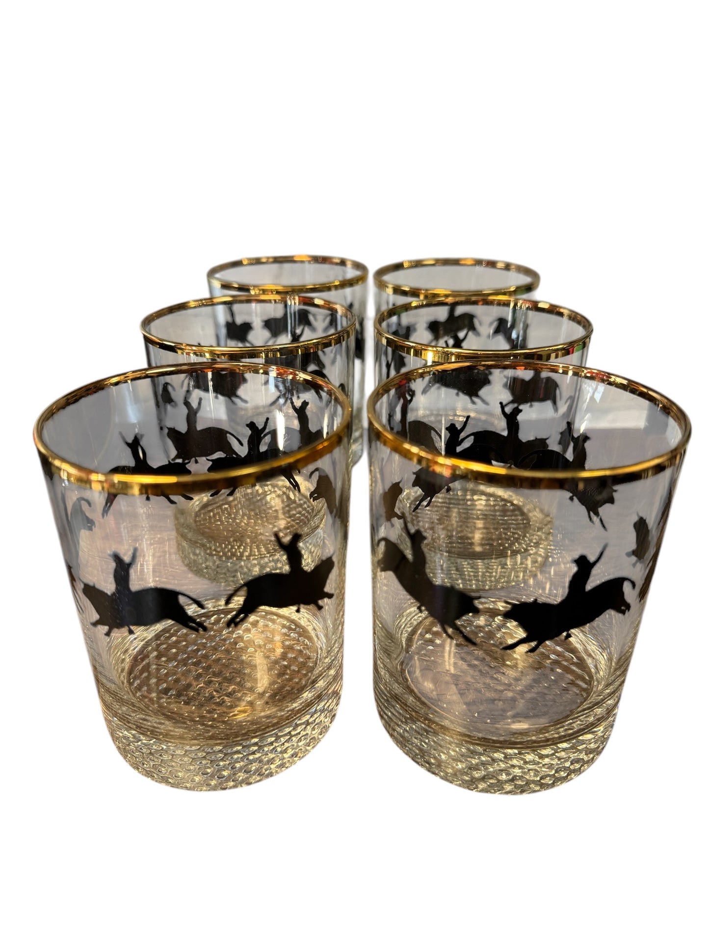 Bull Riding glasses set of 6