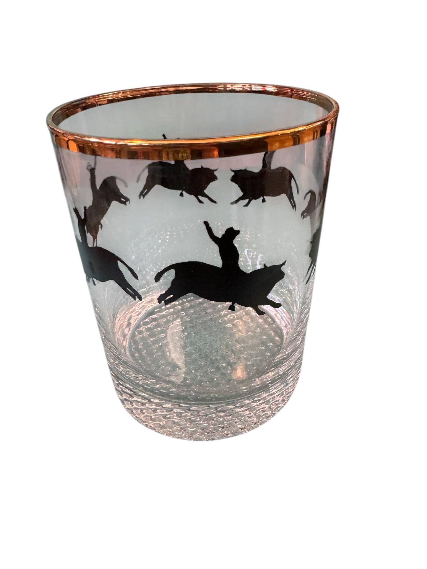 Bull Riding glasses set of 6